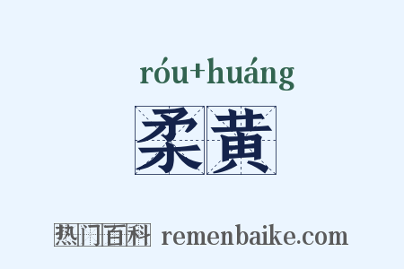 柔黄是什么意思的图片